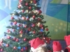 20171207_100303-1
