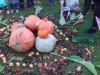 20181004_110812