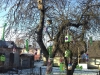 20171205_114806-1