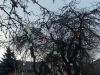 20171205_143551-1