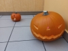 20231030_133254